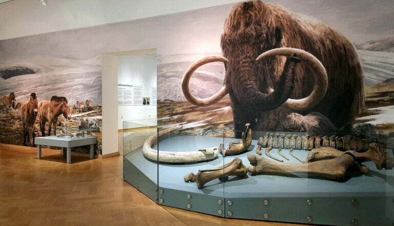 Spannende archäologische Funde und einzigartige Visualisierungen. Foto: Lippisches Landesmuseum Detmold