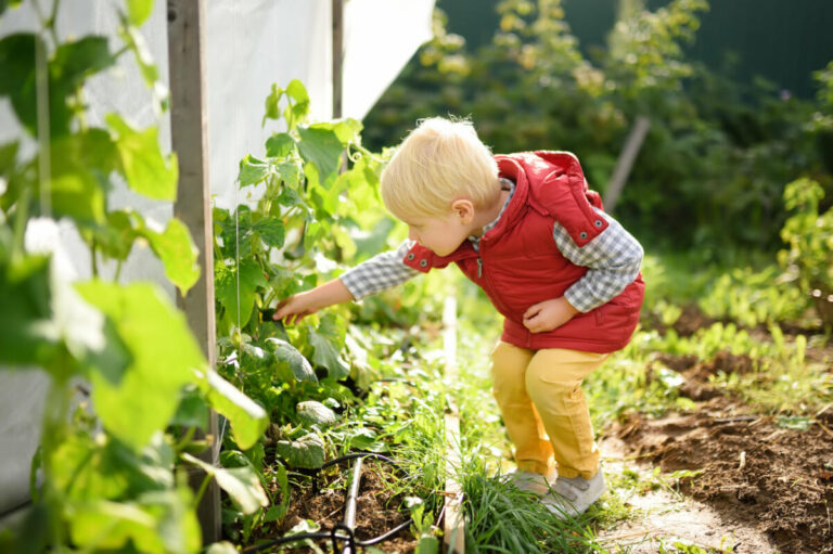 Achtung: Von außen ist es ihnen nicht anzusehen, aber einige heimische Gartenpflanzen sind giftig und können somit lebensgefährlich sein – Kinder und Haustiere sind dabei besonders gefährdet. Foto: AOK/colourbox/hfr