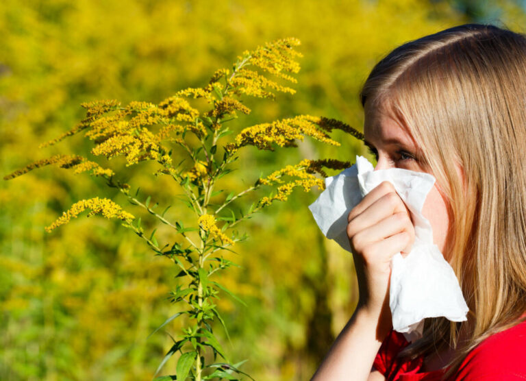 Hasel, Erle, Pappel, Weide und Ulme machen bereits jetzt Allergikern zu schaffen. Sie gehören zu den Frühblühern und tragen an windigen Tagen im zeitigen Frühjahr besonders gut und in großen Menge Pollen durch die Luft. Foto: AOK/Colourbox/hfr