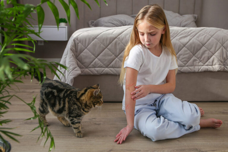 Vor dem Einzug eines Haustieres sollten gesundheitliche Aspekte bedacht werden wie Tierhaarallergie, Übertragen von Krankheitserregern oder Unfallgefahren. Foto: AOK/colourbox/hfr