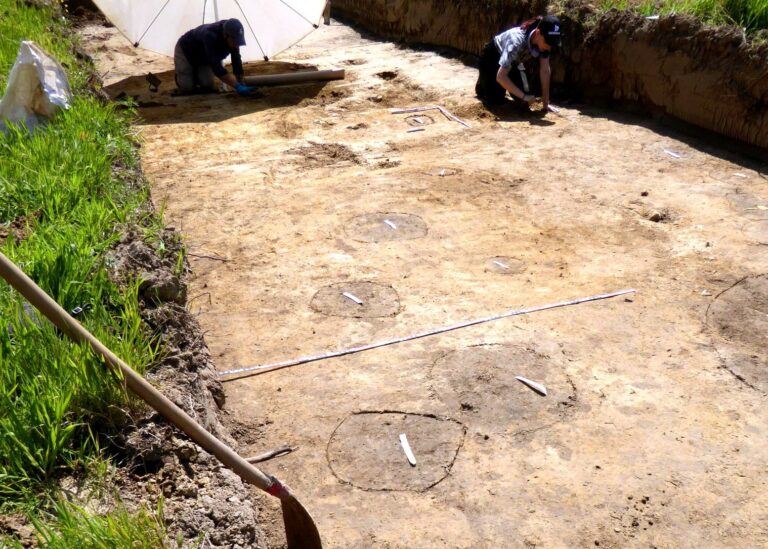 Bereits in den ersten Suchschnitten zeichnen sich die Pfostenreihen ehemaliger Hausgrundrisse ab.
Foto: LWL-Archäologie für Westfalen/Sven Spiong