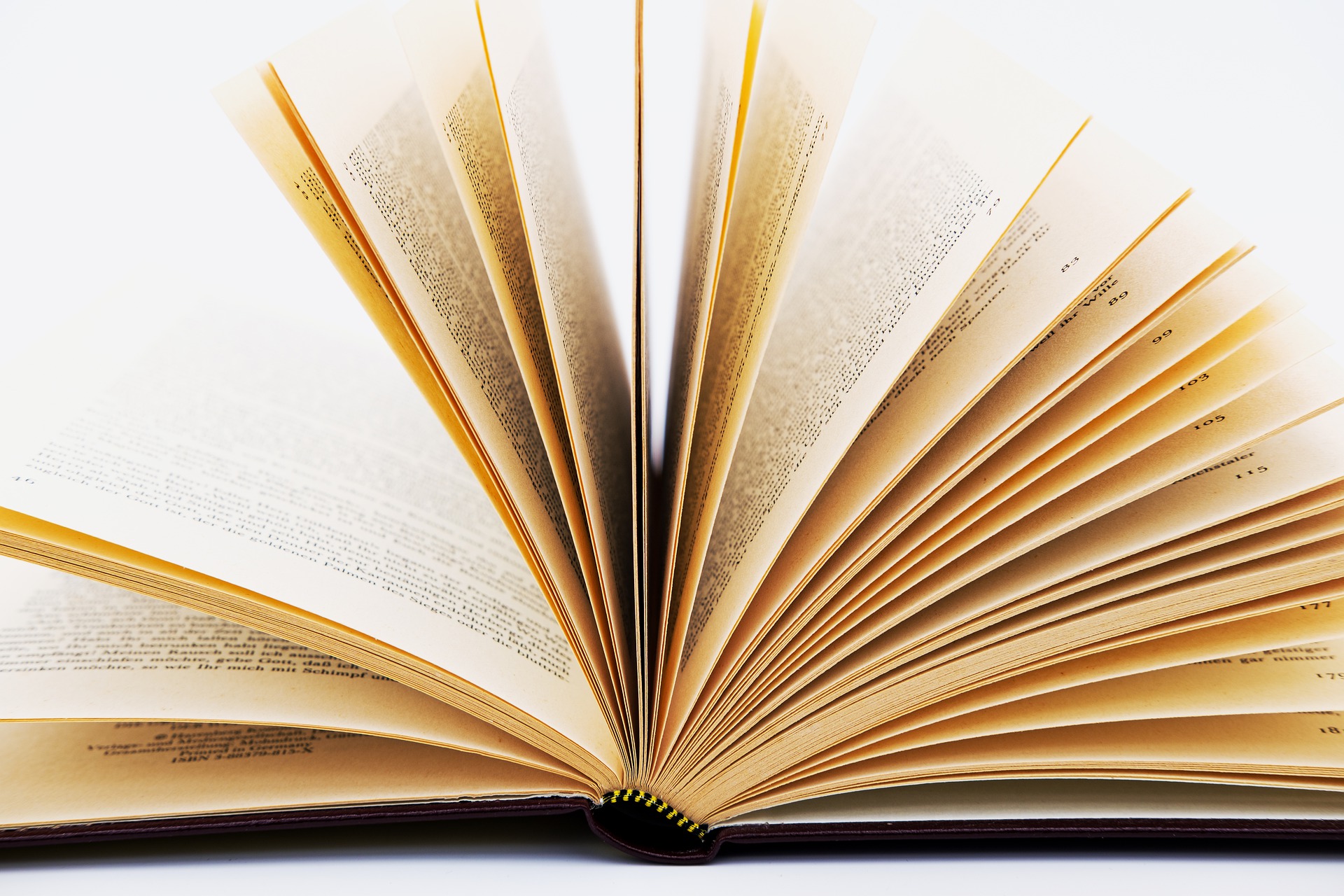 Als das I Pad noch Blätter hatte. Foto: Bruno Glätsch, Pixabay