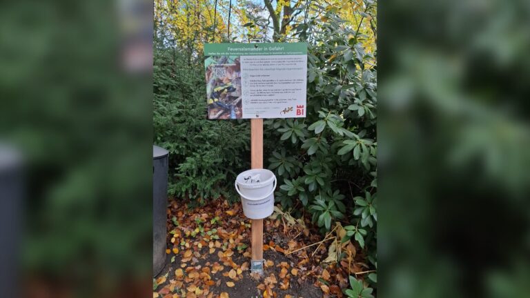 Hinweisschilder im und rund um den Botanischen Garten informieren über die Feuersalamanderpest und die Hygienemaßnahmen. Foto: Stadt Bielefeld