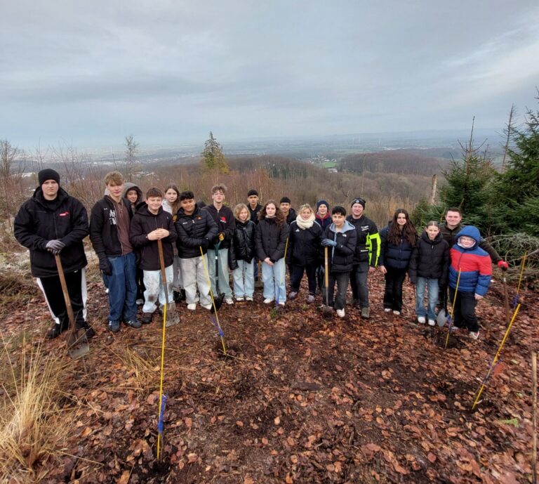 Unterhalb des Kammwegs am Hang des Tönsbergs pflanzten die Schülerinnen und Schüler der achten Jahrgangsstufe rund 100, die gleichzeitig auch noch gegen Verbiss geschützt wurden. Fotos: Christian Landerbarthold