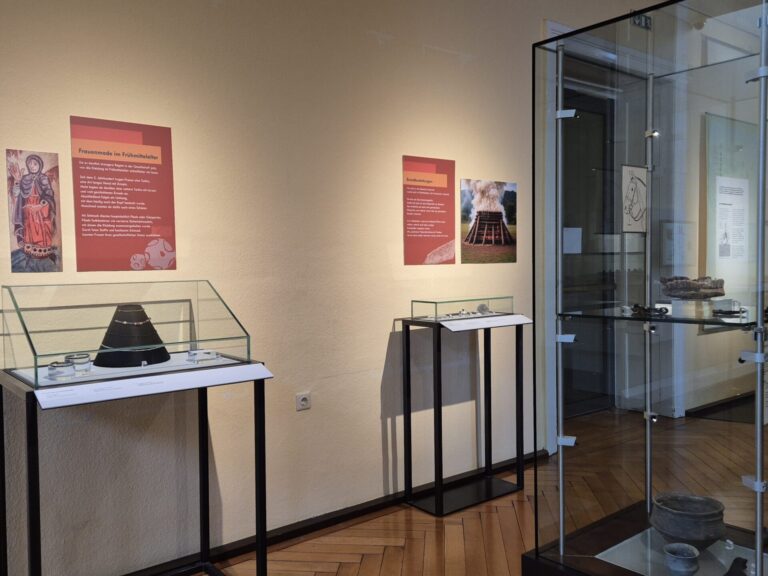Die neue Präsentation gliedert sich in mehrere Themenbereiche / Foto: Lippisches Landesmuseum