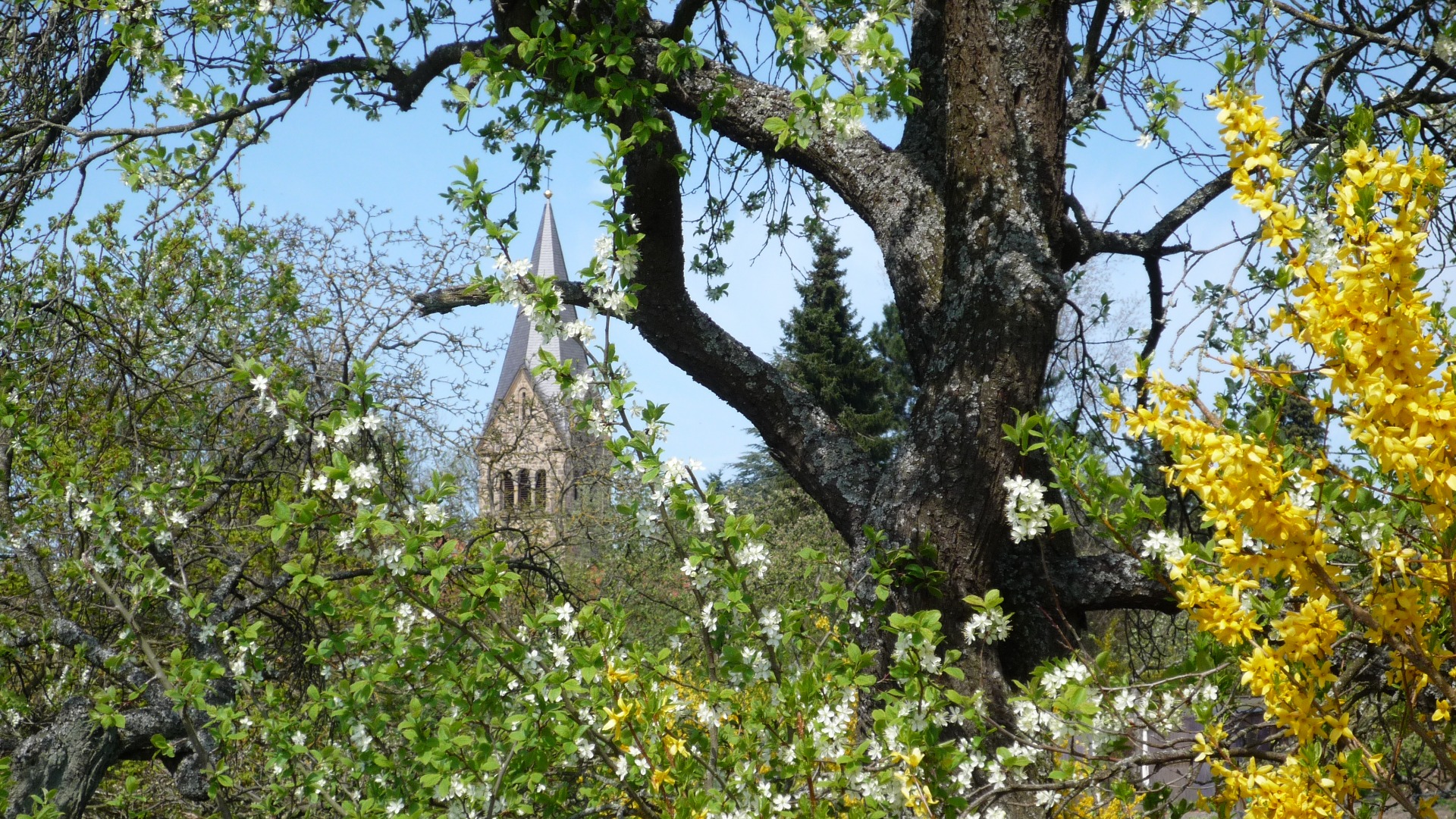 Foto: © Kirchengemeinde Bergkirchen