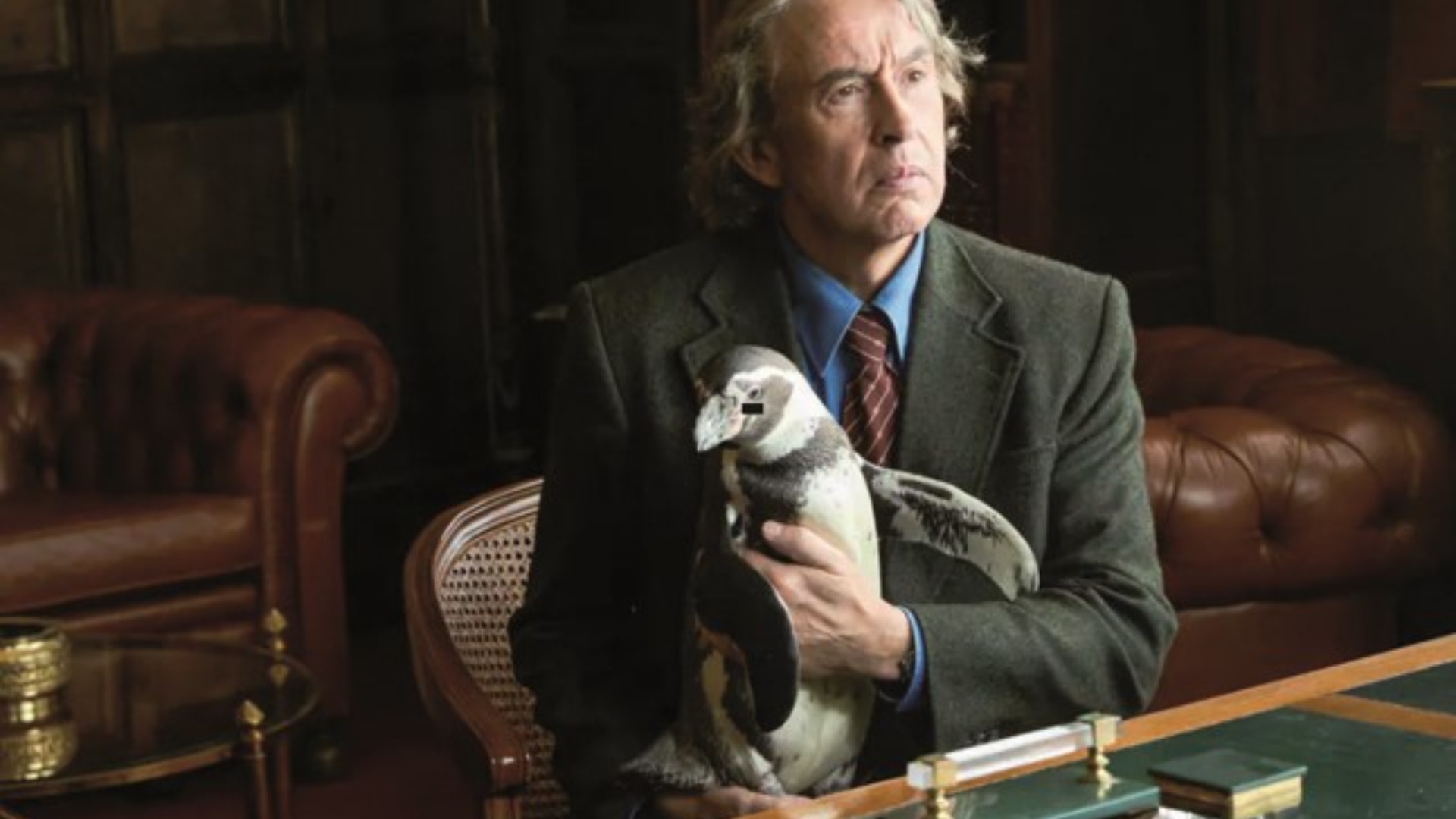 Steve Coogan in „Der Pinguin meines Lebens“.  Foto: Leoline