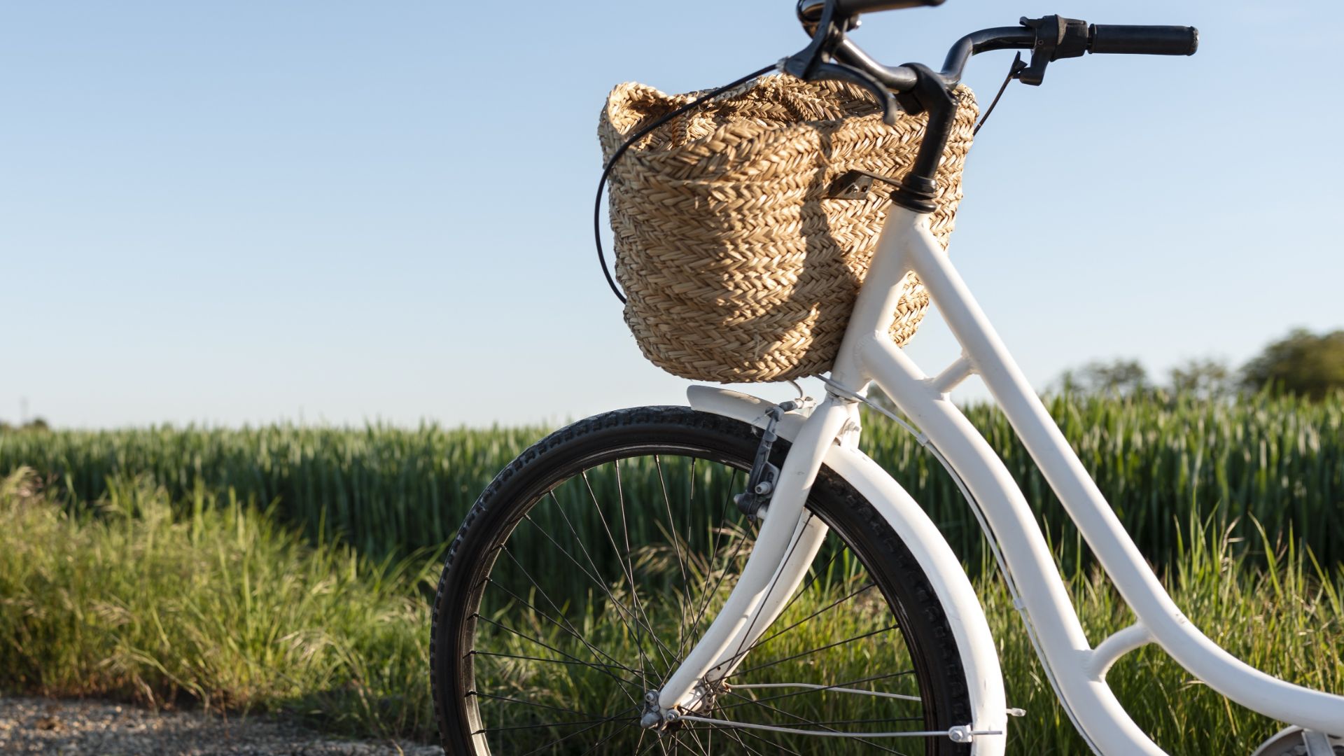 Weißes Fahrrad mit Strohkorb am Lenker am Rand eines grünen Feldes unter blauem Himmel