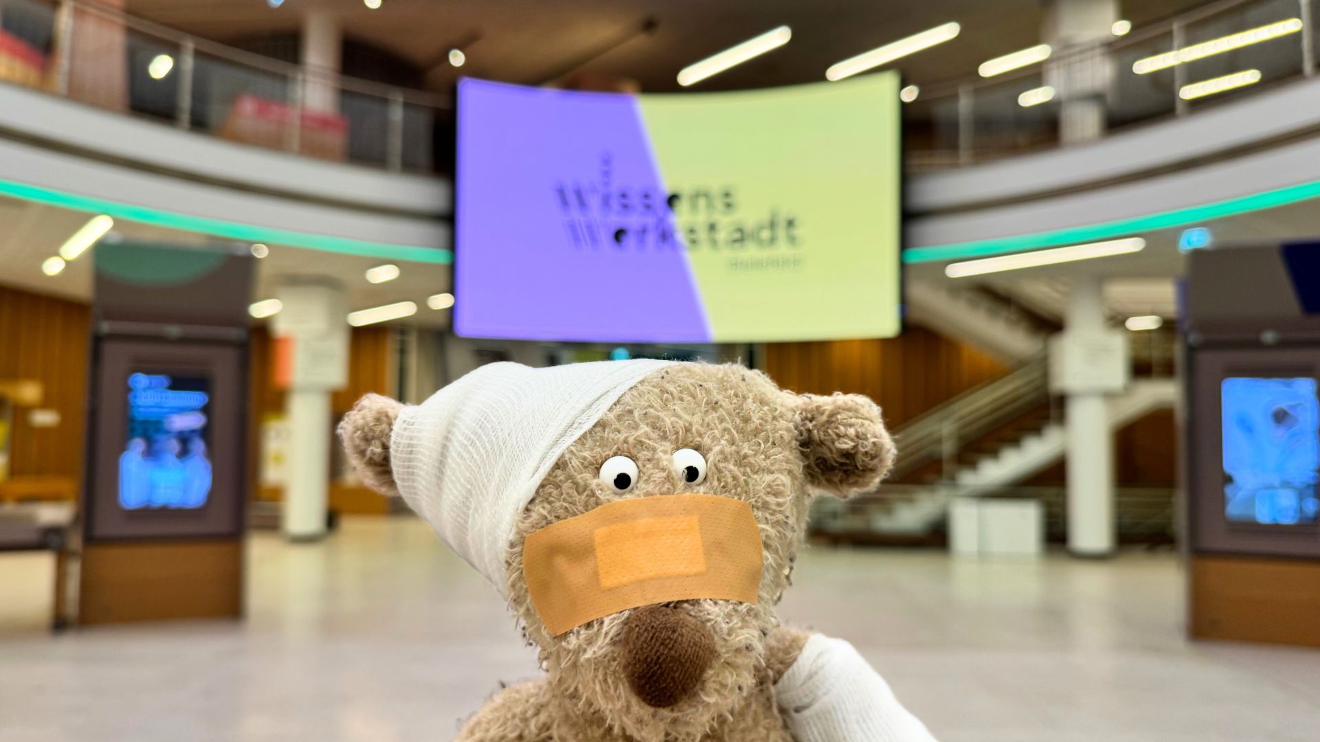 Verletzter Teddybär mit Kopf- und Armverband sowie Pflaster im Gesicht in einer Halle mit Bildschirm 'Wissens Werkstatt