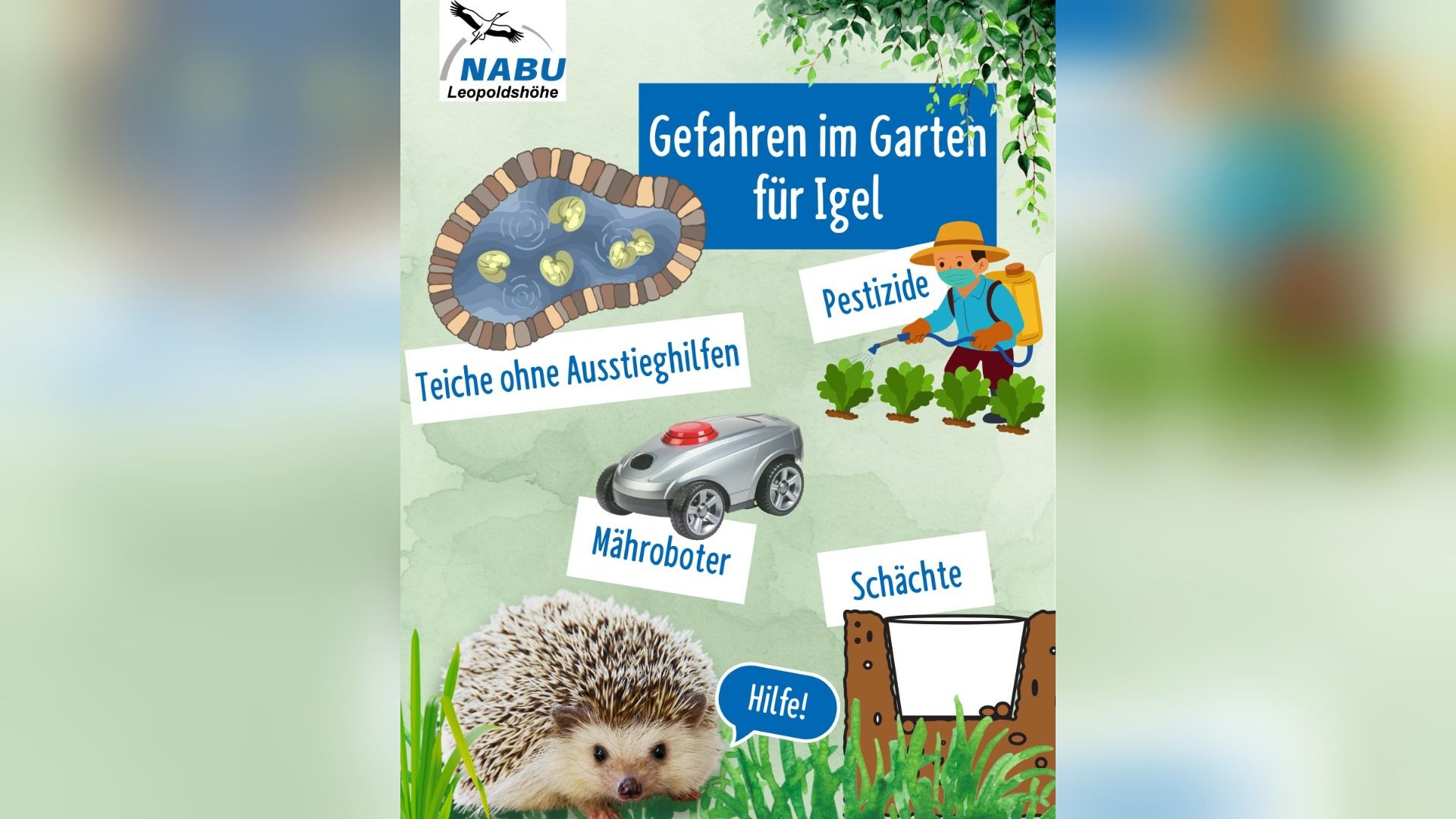 Gefahren im Garten für Igel: Ein Teich, Pestizide, ein Mähroboter, offene Schächte und ein Igel, der "Hilfe!" ruft