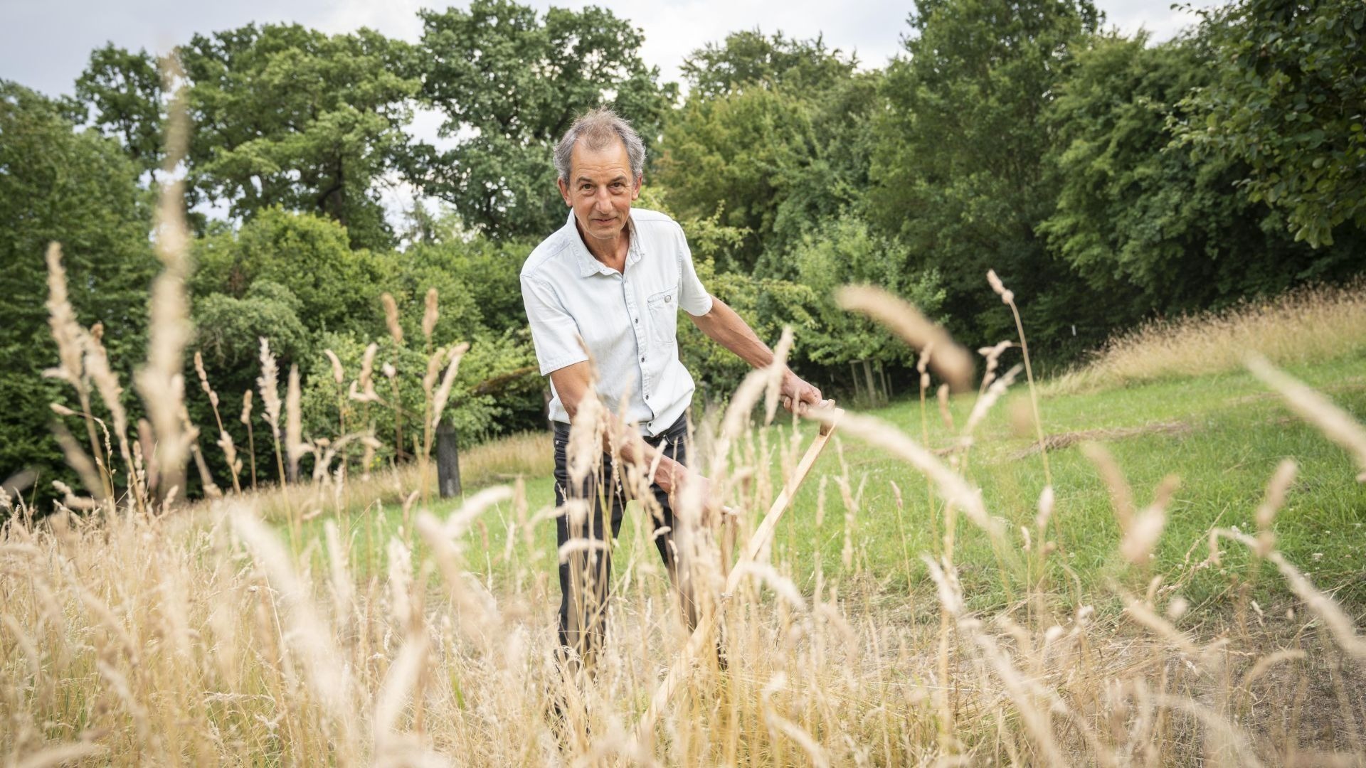 Mann mit Sense mäht trockenes Gras auf einer Wiese, im Hintergrund grüne Bäume
