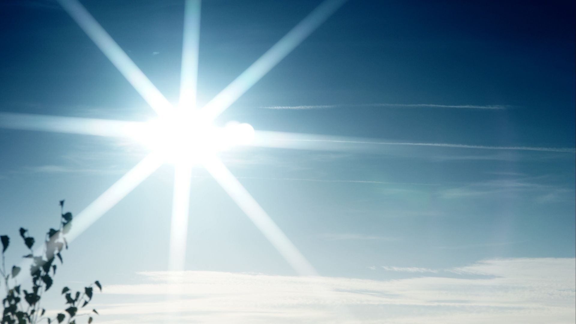 Grell strahlende Sonne mit deutlichen Strahlen im klaren blauen Himmel über dunklen Ästen