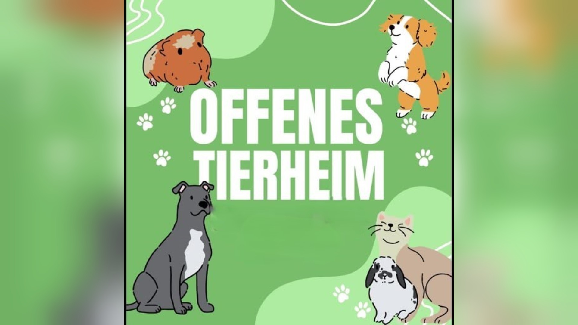 Grüner Hintergrund mit den weißen Worten „Offenes Tierheim“, umgeben von einem Meerschweinchen, zwei Hunden, einer