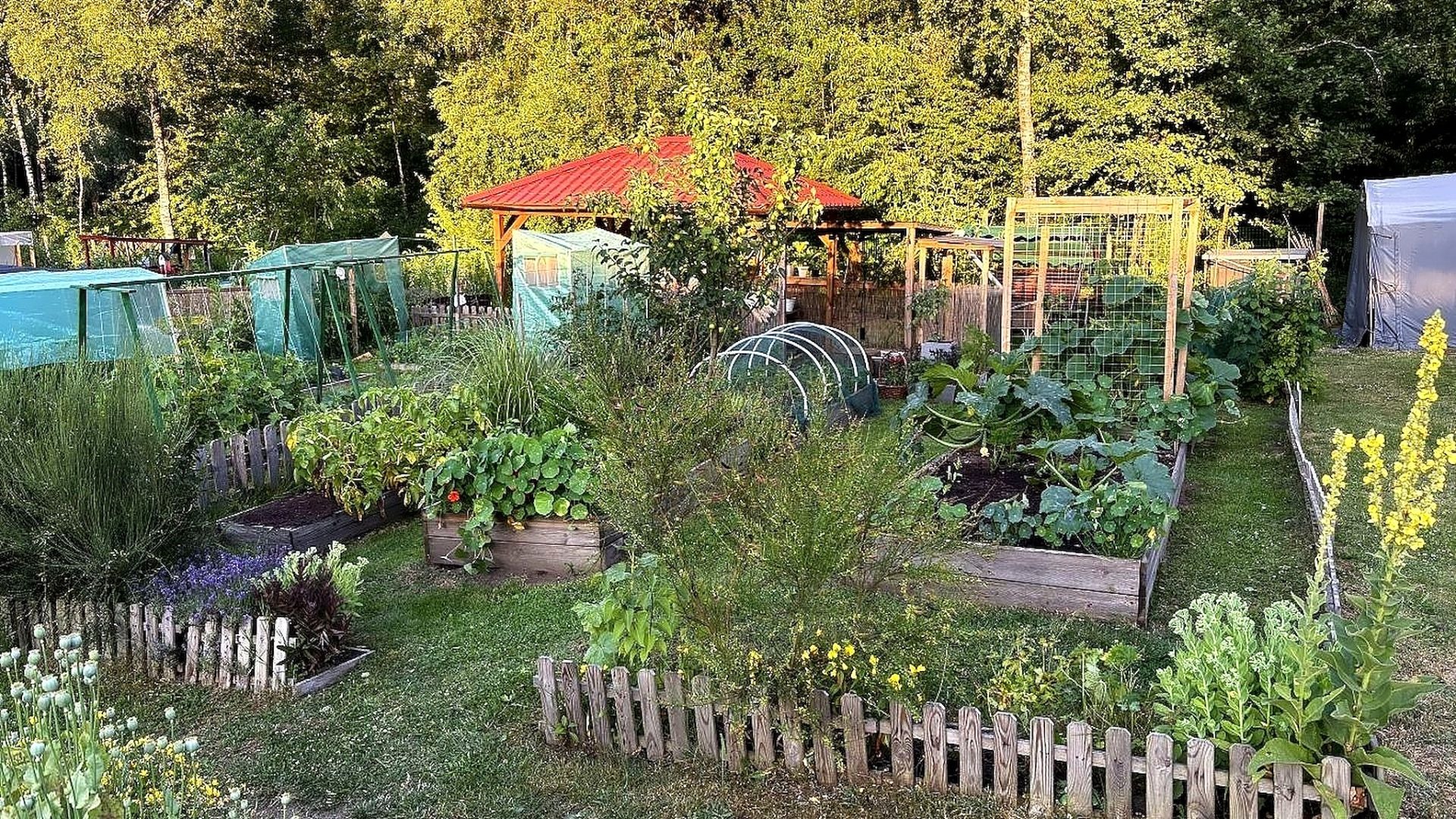 Grüner Südstadtgarten mit Hochbeeten voller Gemüse und Blumen, kleinen Holzzäunen und einem roten Pavillon