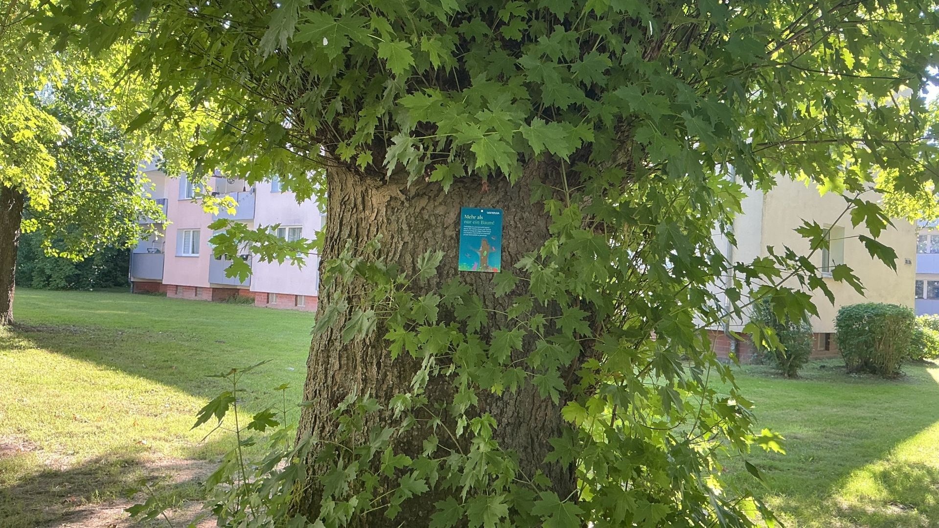 Baumstamm mit grünen Blättern und blauem Schild „Mehr als nur ein Baum!“ vor Wohngebäuden und Rasen