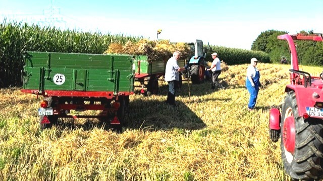 Vier Männer stehen mit zwei Traktoren und vollen Anhängern auf einem sonnigen, abgeernteten Feld
