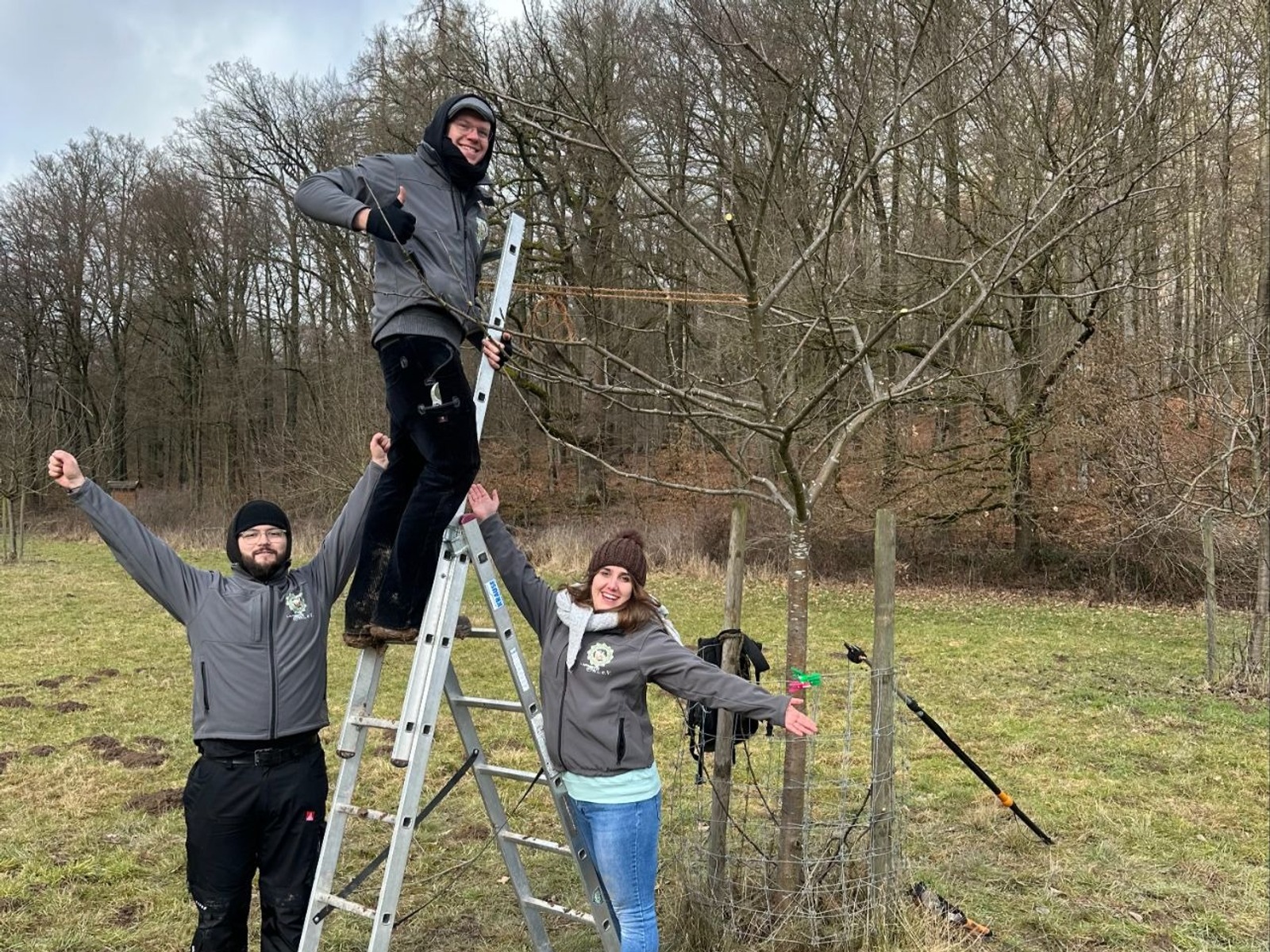 Drei Mitglieder des Apfelweinvereins OWL jubeln nach Baumschnitt an jungem Apfelbaum auf Wiese vor Wald