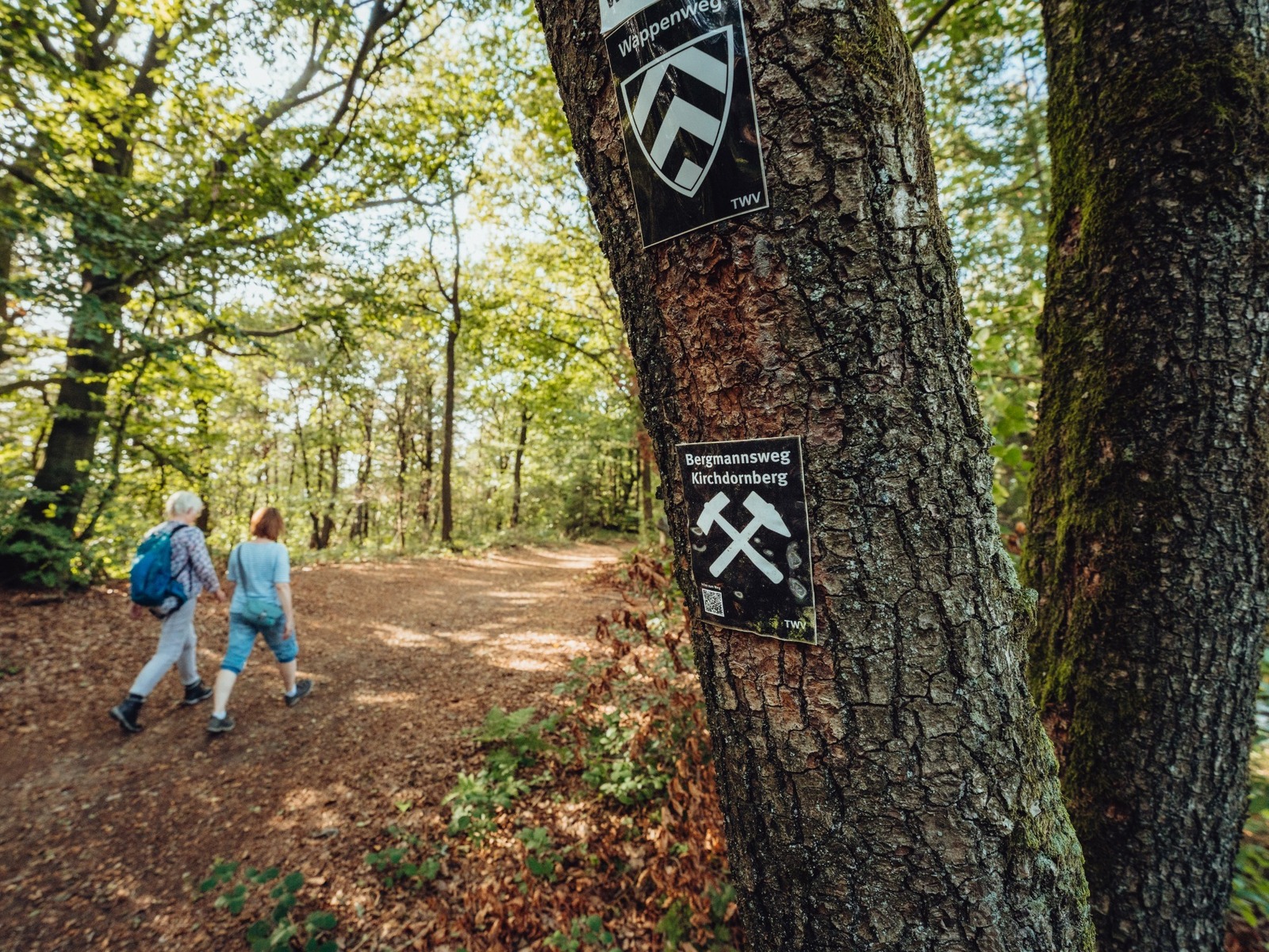 Zwei Wanderer gehen auf einem Waldweg, daneben ein Baumstamm mit Wegweisern für Wappenweg und Bergmannsweg Kirchdornberg