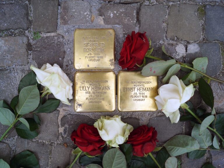 Drei goldene Stolpersteine für Siegfried Bornheim, Lilly und Ernst Heimann auf Pflastersteinen mit roten und weißen