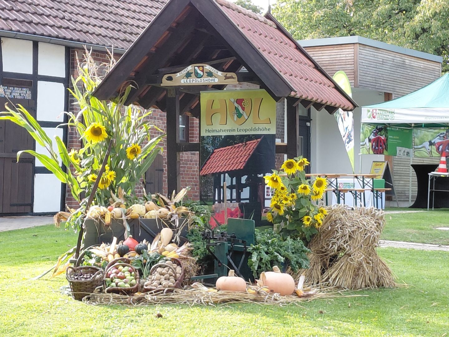 Herbstliche Dekoration mit Kartoffeln, Kürbissen, Mais, Sonnenblumen, Heu und einer Dreschmaschine in Leopoldshöhe