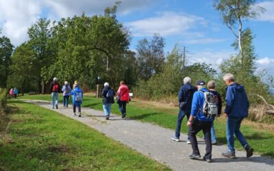 Eine Gruppe Wanderer geht auf einem Schotterweg durch eine grüne Landschaft mit Bäumen unter blauem Himmel