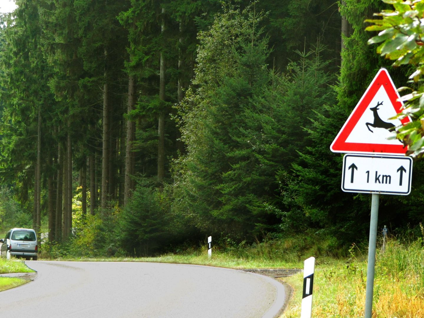 Kurvige Waldstraße mit Wildwechsel-Warnschild und 1 km Zusatz, ein silbernes Auto fährt um die Kurve