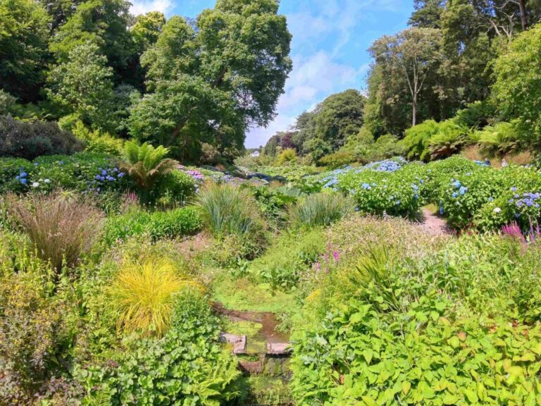 Talgarten mit üppiger Vegetation, vielen Hortensien in Blau und Rosa, hohen Bäumen und einem Bach
