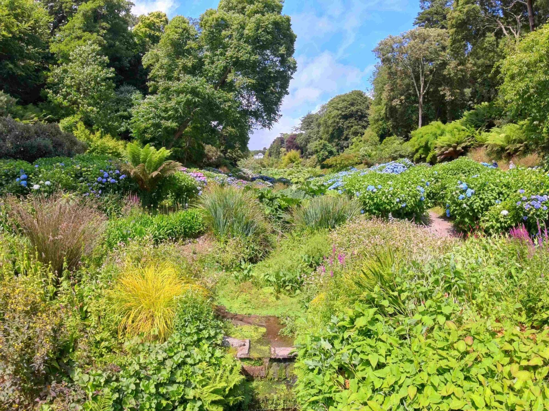 Talgarten mit üppiger Vegetation, vielen Hortensien in Blau und Rosa, hohen Bäumen und einem Bach