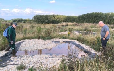 Zwei Männer in einem Feld begutachten mehrere kleine, mit Kies ausgekleidete Wasserbecken