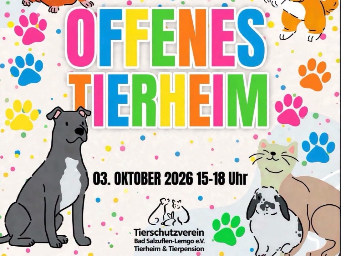 Bunte Schrift „Offenes Tierheim“, umgeben von Meerschweinchen, Hunden, Katze, sowie farbigen Punkten und Pfotenabdrücken