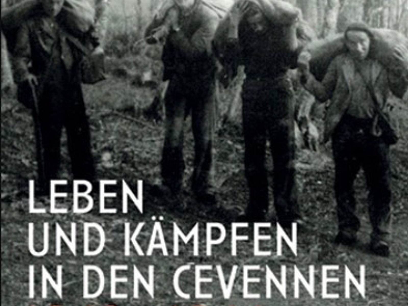Vier Männer in einfacher Kleidung tragen große Säcke auf den Schultern durch einen Wald
