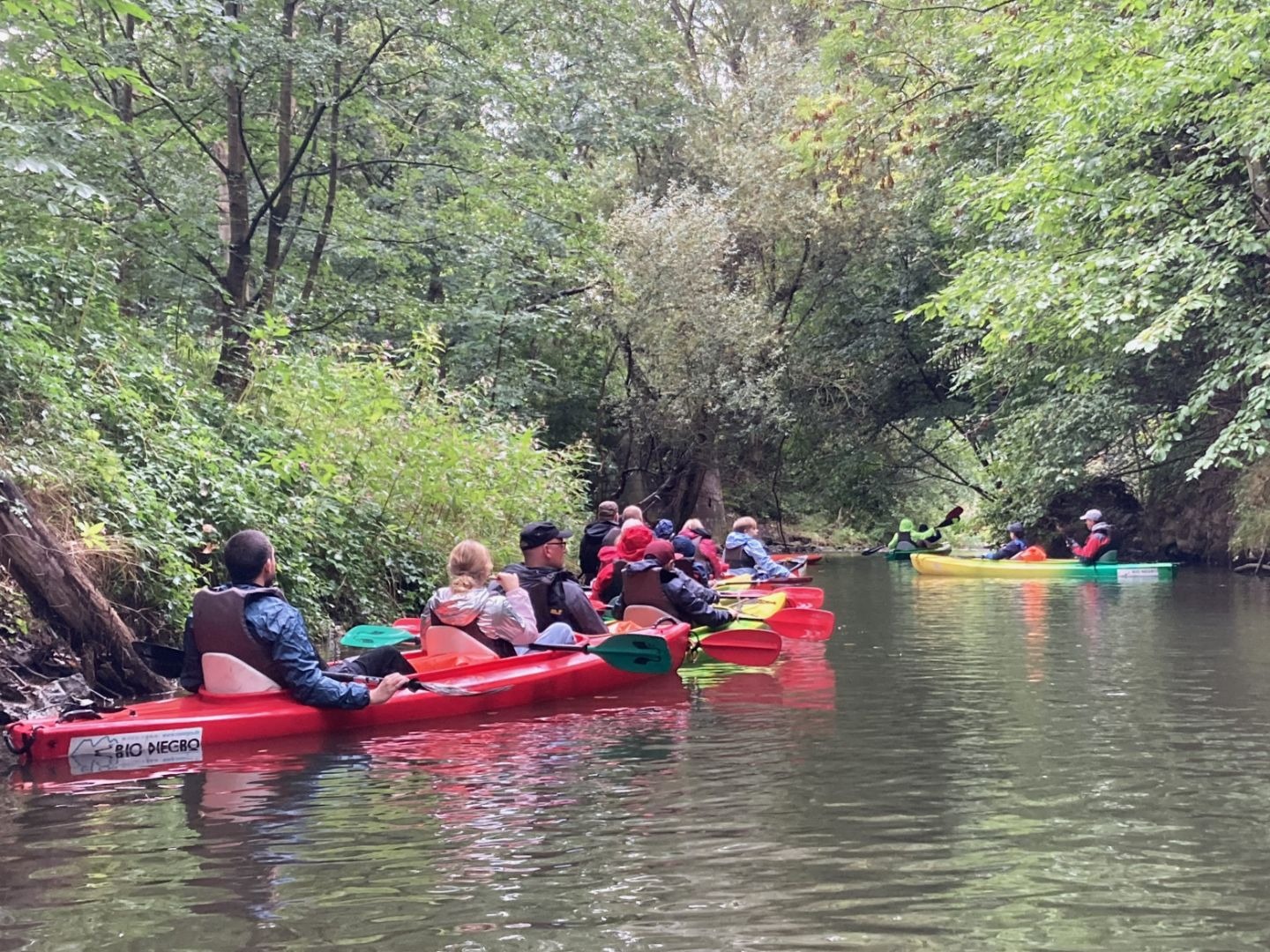 Familien in roten und gelben Kanus fahren auf einem schmalen Fluss, umgeben von dichten grünen Bäumen