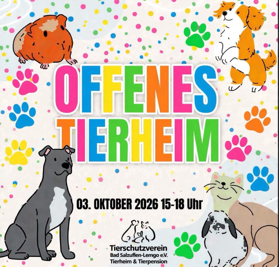 Plakat für Offenes Tierheim mit Meerschweinchen, zwei Hunden, Katze, bunten Pfoten und Konfetti, sowie Datum 03.10.2026